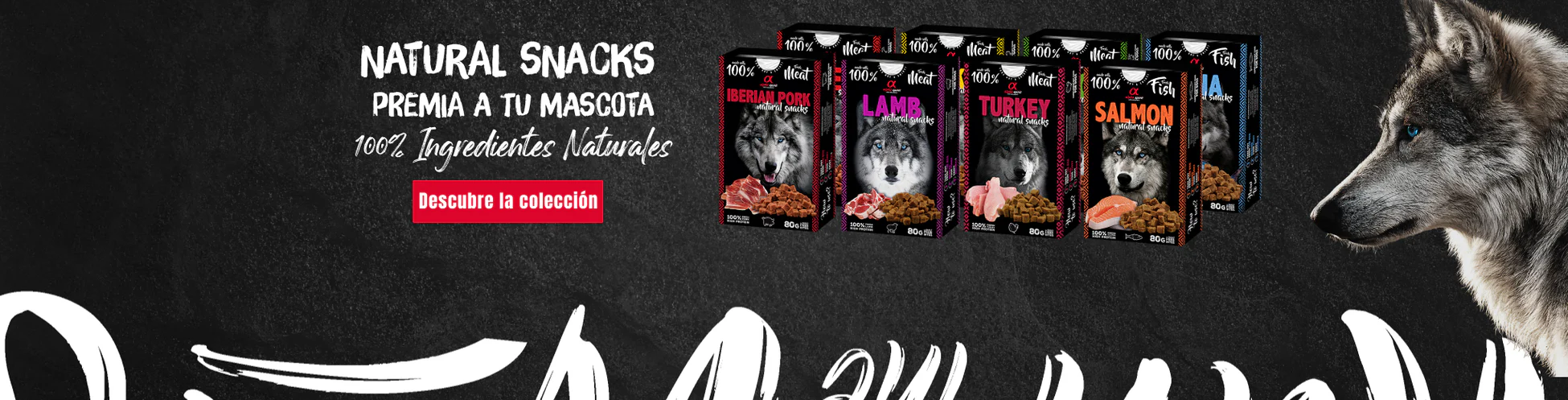 Welcome to Our Store